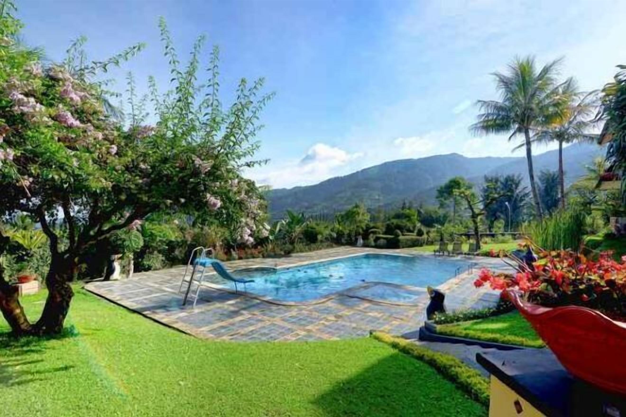 Alberca | Alberca al aire libre 