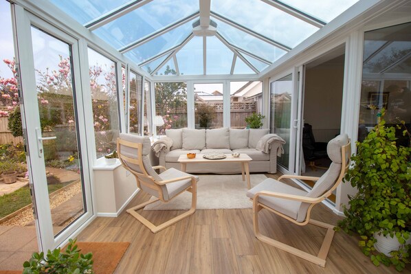 TV, fireplace, books