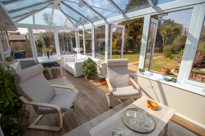 TV, fireplace, books