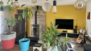 A living room with a fireplace, a TV, and various plants.
