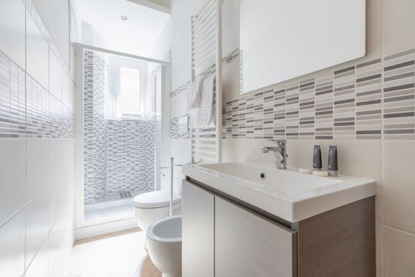 Shower, hair dryer, bidet, towels