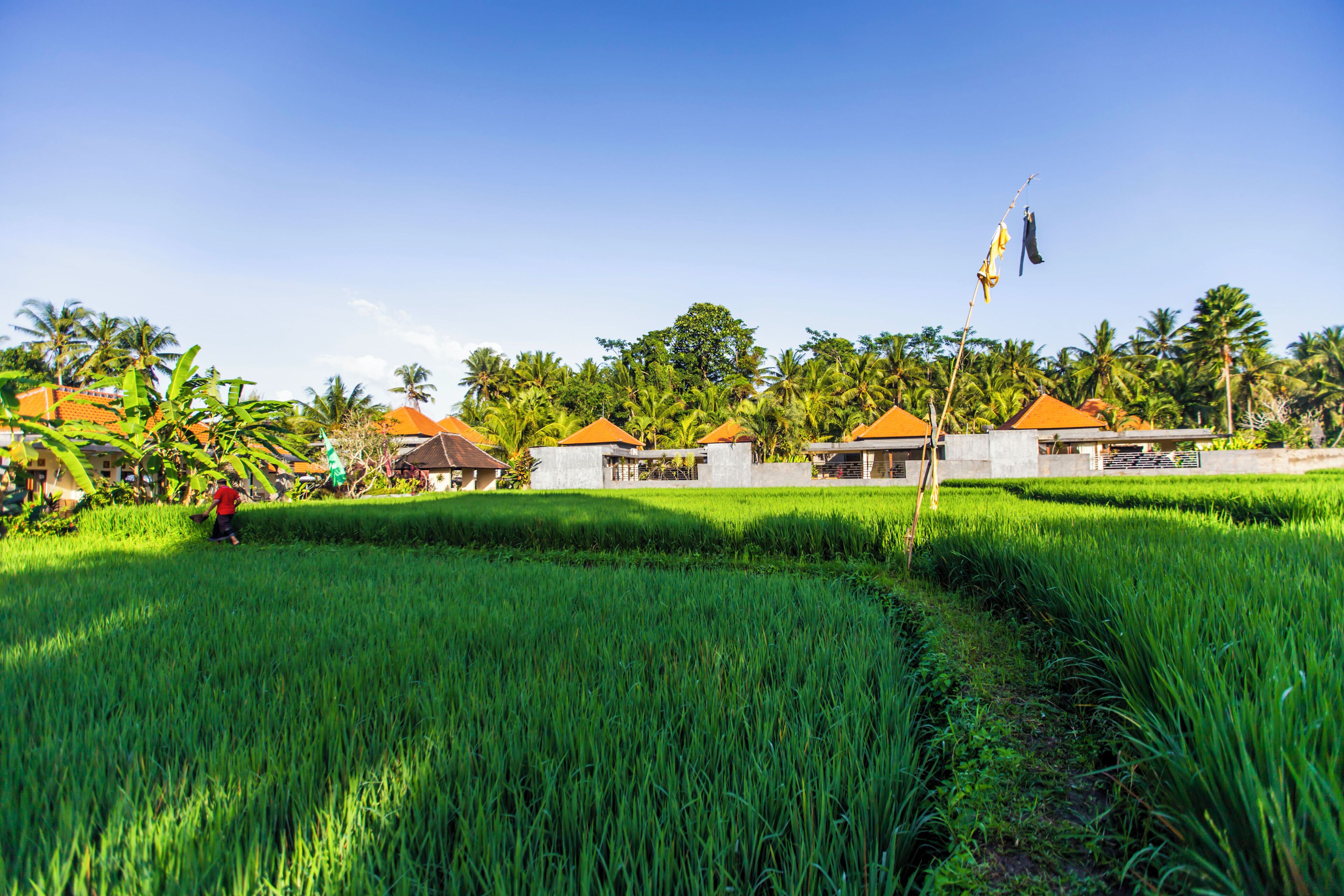 Foto - Asri Sari Ubud Villa & Resort