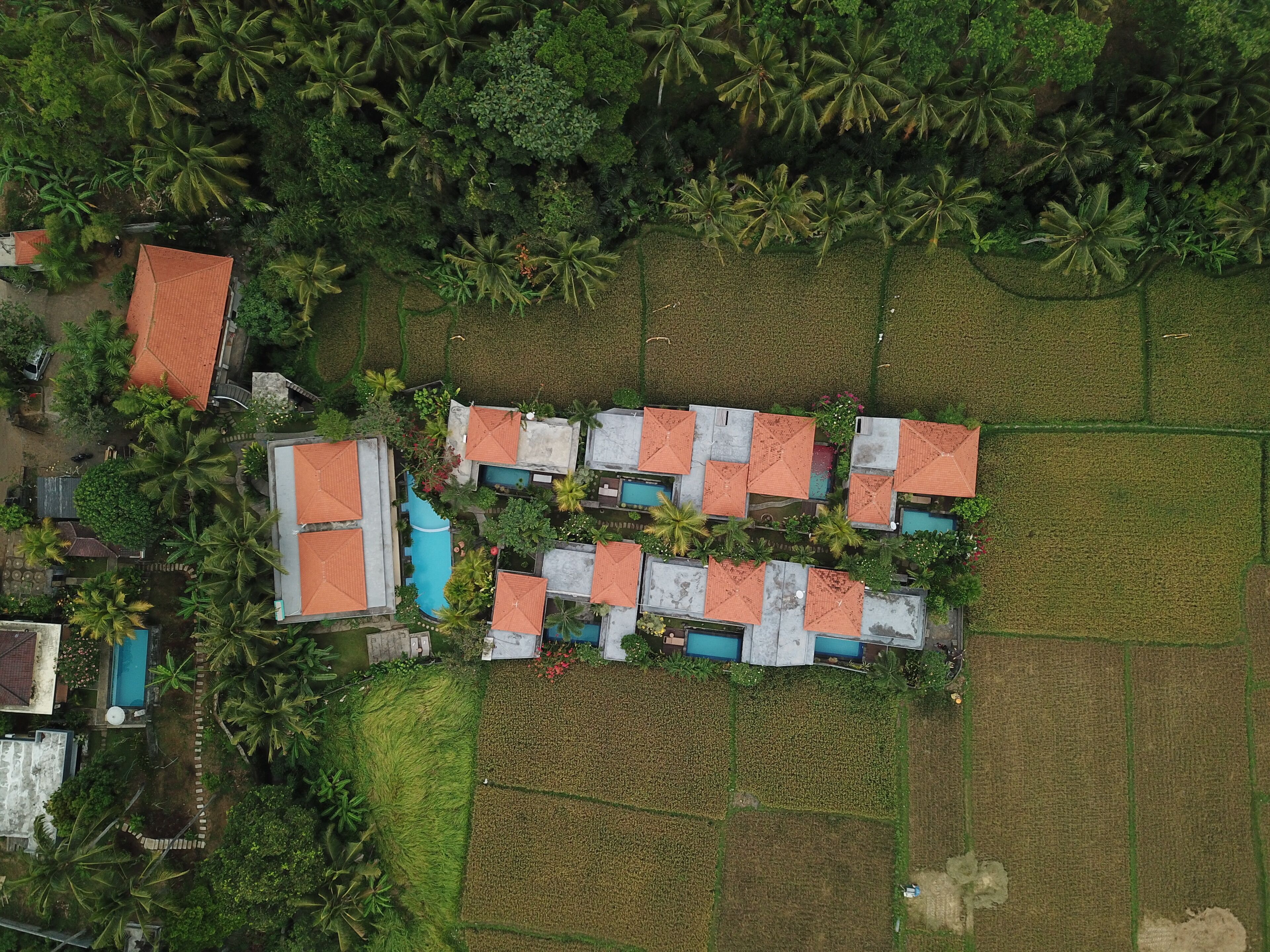 Photo - Asri Sari Ubud Villa & Resort
