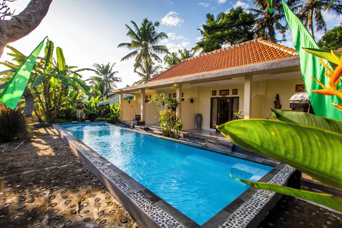 Piscina com deck revestido, cercada por plantas tropicais e palmeiras, com um edifício ao fundo.