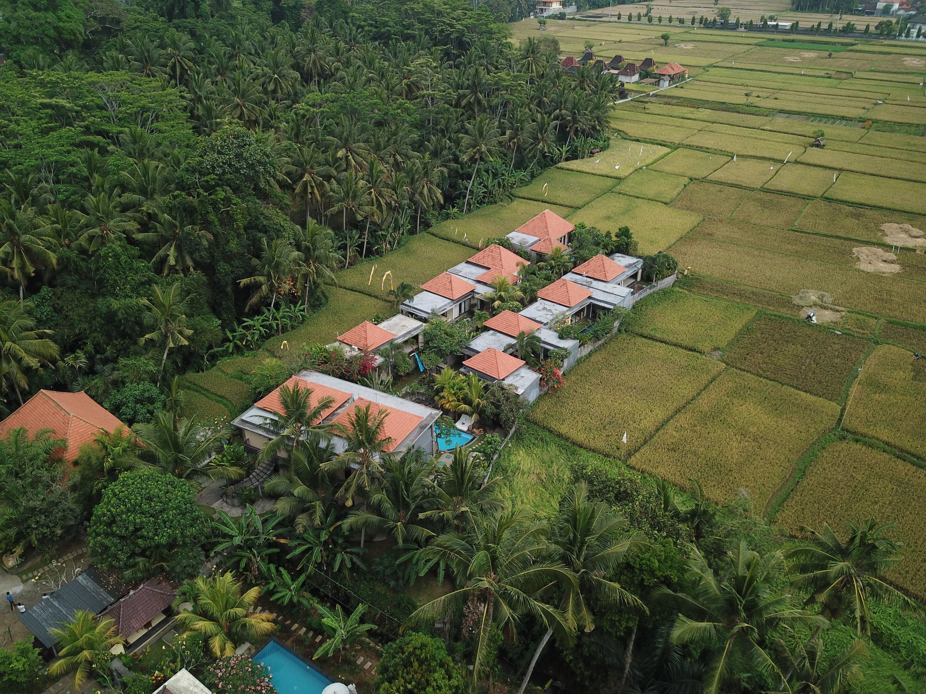 Photo - Asri Sari Ubud Villa & Resort