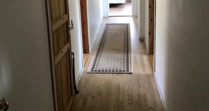 Luonnossa, lähellä kaupunkia