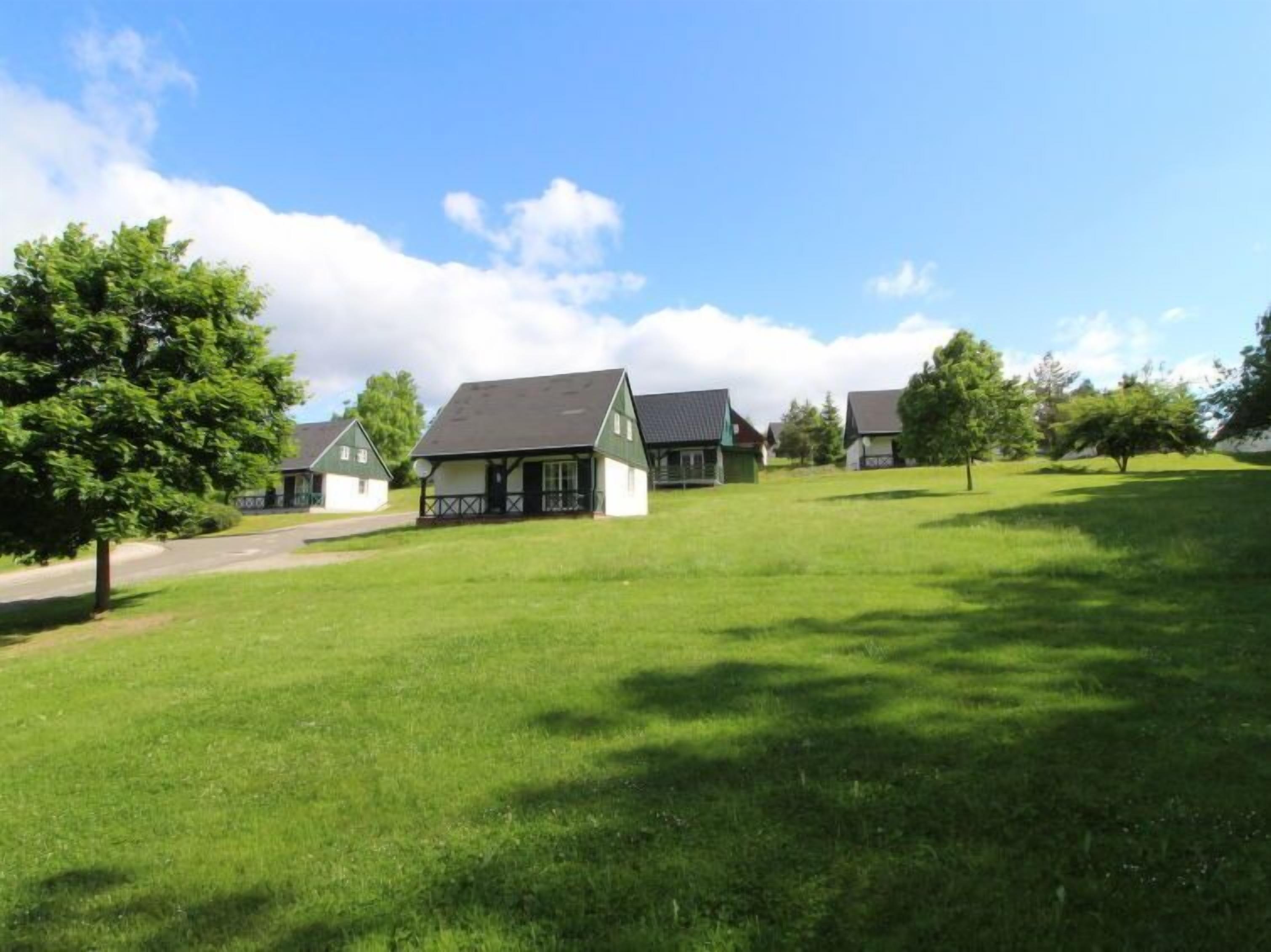 A row of houses with a grassy lawn and trees.
