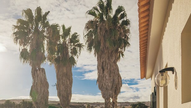 A balcony with sun loungers, a tiled floor, and palm trees in the background. - Slowing Villas - Villa Oceano (Porto Santo)