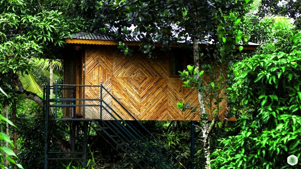 A wooden structure with a chevron-patterned wall, surrounded by lush greenery. - Hiliya Resort - Hostel (Sulthan Bathery)