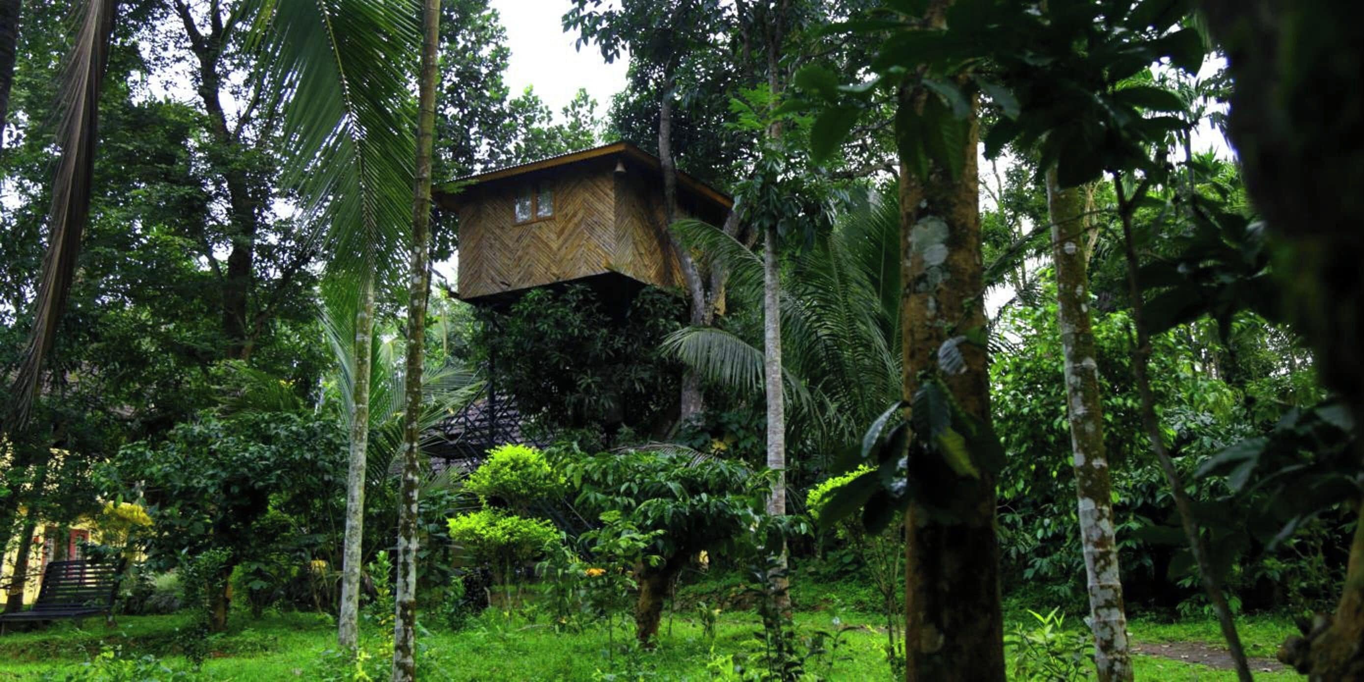 Une cabane perchée dans les arbres, au cœur d’une forêt verdoyante.