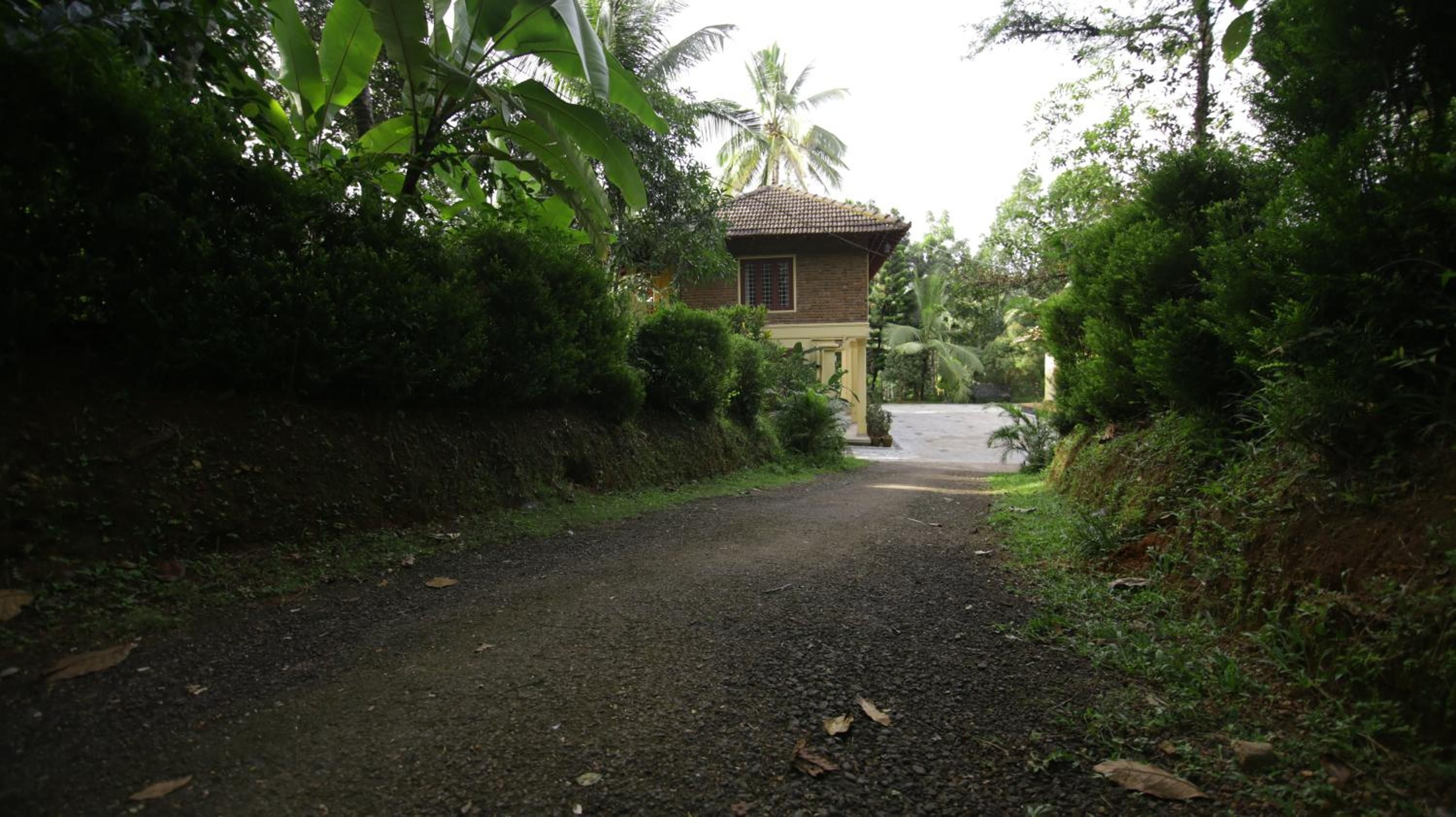 A rural road leading to a single-story building with a tiled roof, surrounded by dense greenery and a palm tree.