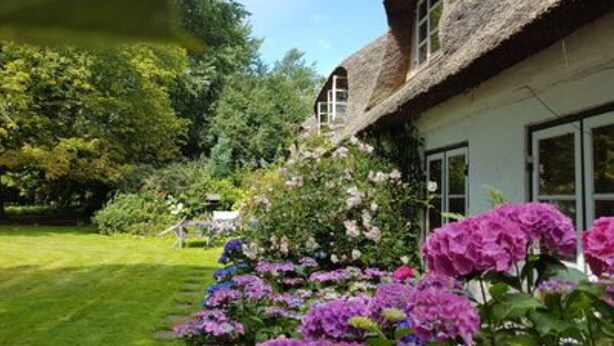Une maison à toit de chaume avec un jardin rempli de fleurs violettes.