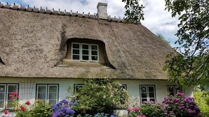 Une maison traditionnelle à toit de chaume, dotée d’une petite fenêtre et d’un jardin où poussent des fleurs aux couleurs vives.