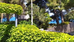 A garden with a variety of trees and shrubs, including a prominent pine tree and a neatly trimmed hedge. - New terrace sea view villa (Augusta)