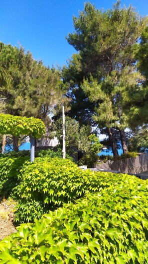 Overnattingsstedets uteområder