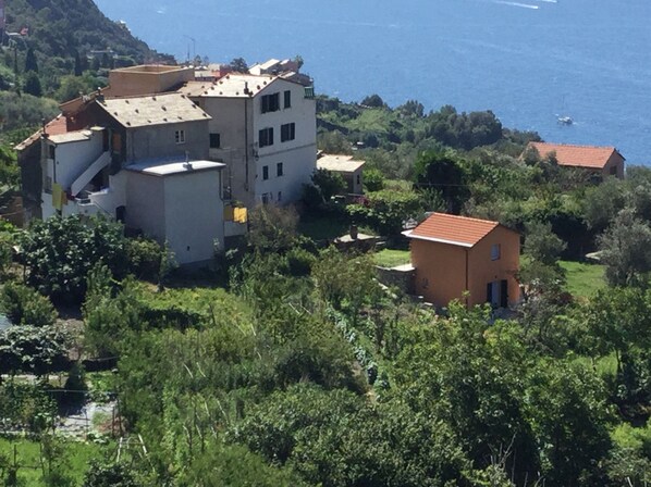 Exterior - Profumo di Mare - Independent House (CITRA Code 011014-LT-0006) (Framura)