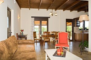 TV connectée, cheminée, lecteur de DVD, chaîne hi-fi