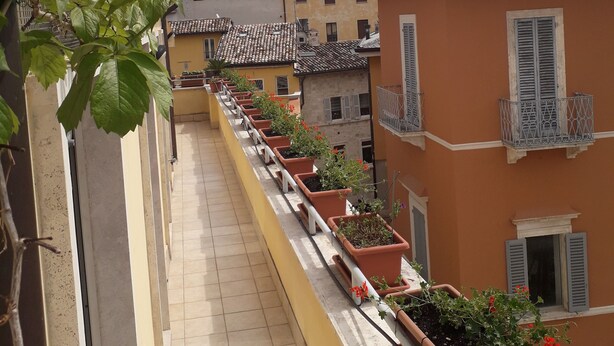 Un balcon étroit agrémenté de plantes en pot et doté d’un sol carrelé.