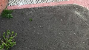 A paved pathway with a red border, leading to a brick building. - Kleine Möwe (Dornum)