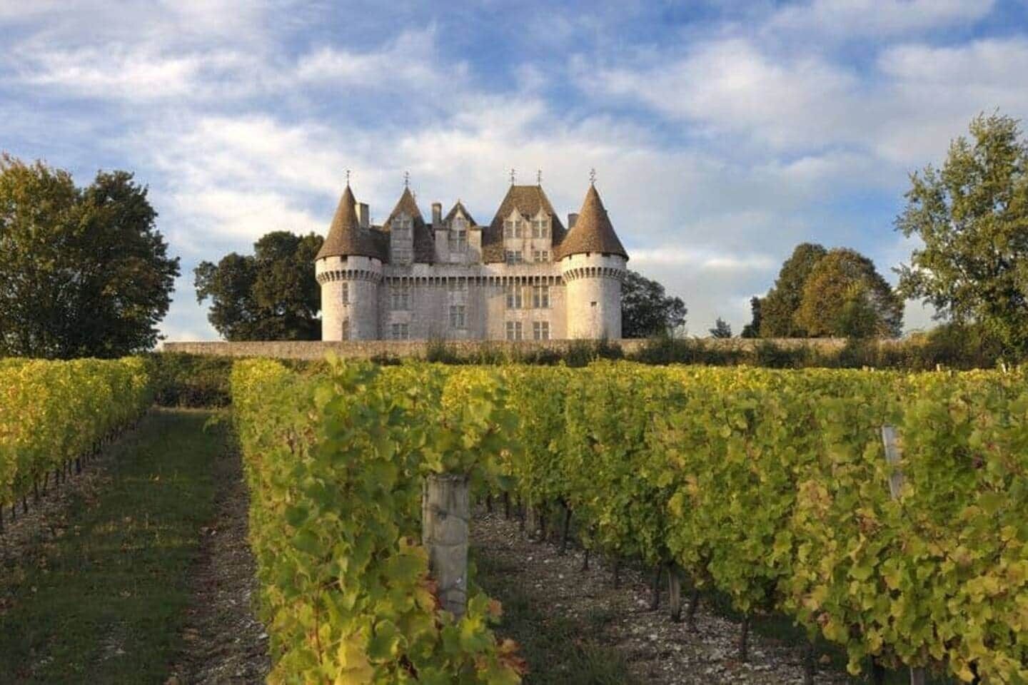 Un castello con un fossato e un vigneto in primo piano.