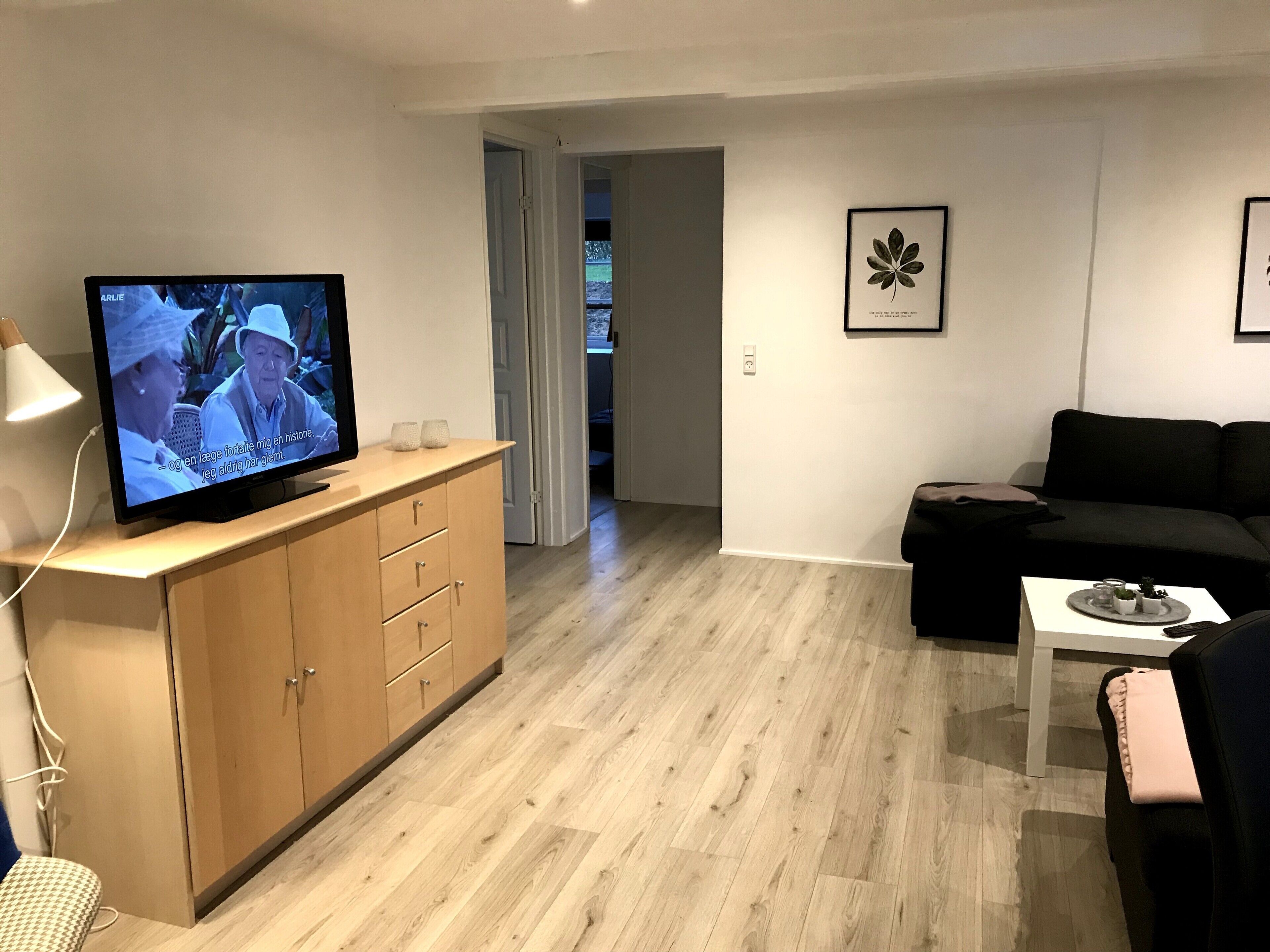 A modern living room with a television, wooden cabinet, black sofa, and a small table with a plant.