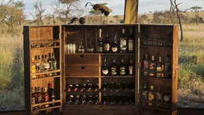Unclassified image, 4 of 13, button - Chaka Camp (Ngorongoro)