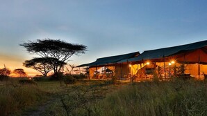 Front of property – evening/night - Nyikani Camp- Central Serengeti (Serengeti)