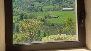Ein Fenster mit Blick auf eine grüne Landschaft, einschließlich Bäumen und einem fernen Gebirge.