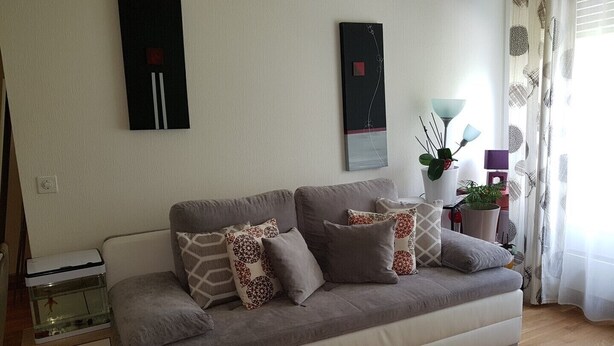 Un salon moderne avec un canapé gris, des coussins à motifs et une décoration minimaliste.