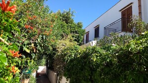 Un callejón estrecho con abundante follaje y un edificio blanco con contraventanas marrones.