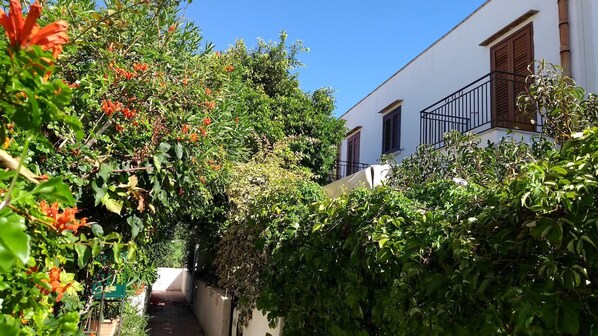 A narrow alleyway with dense foliage and a white building with brown shutters.