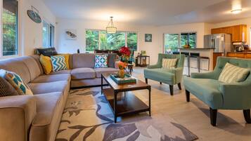 Smart TV, fireplace, DVD player, video library