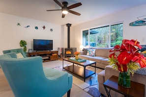 Smart TV, fireplace, DVD player, video library