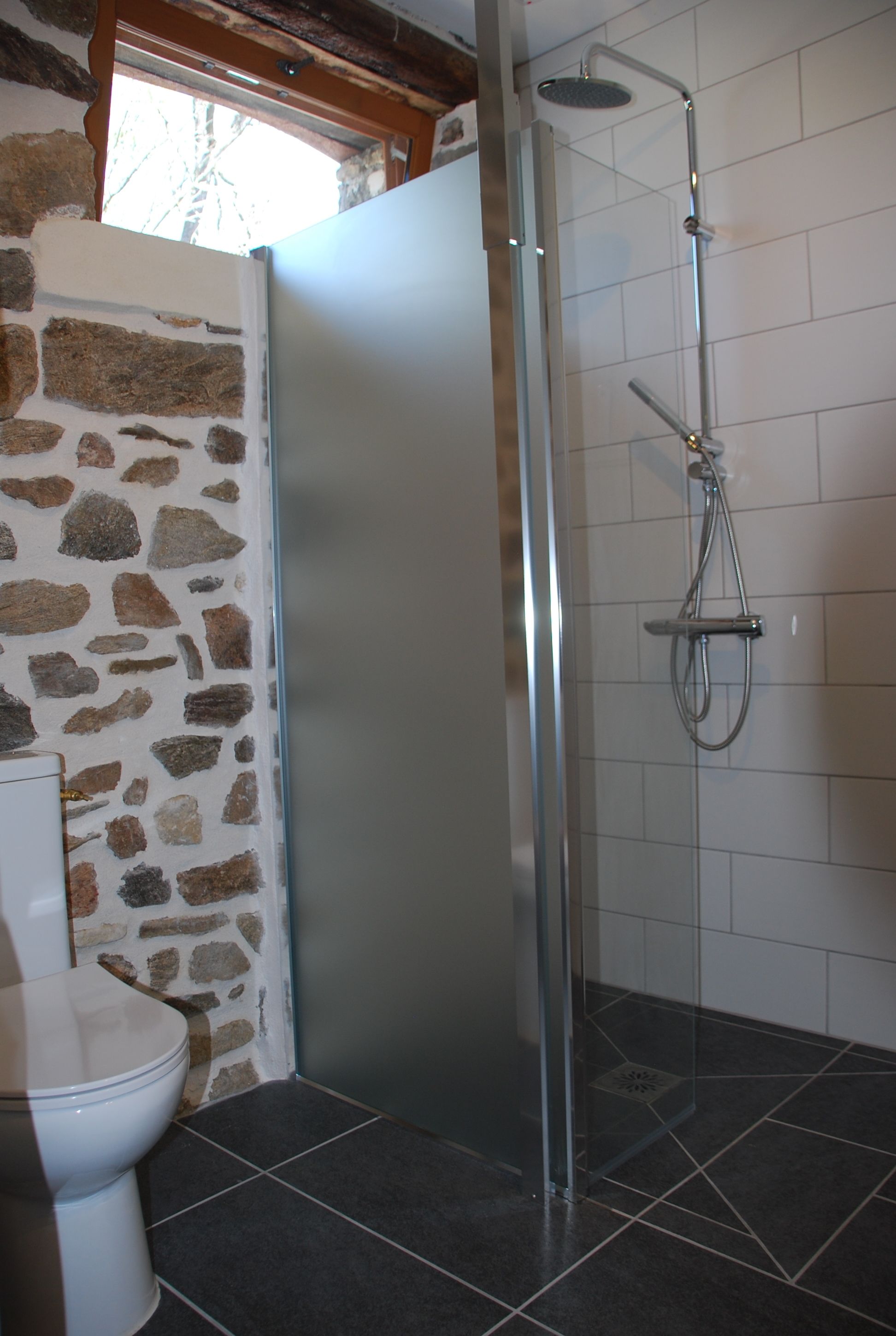 Ein Badezimmer mit einer Steinwand, einer weißen Toilette und einer Dusche mit Glastür.