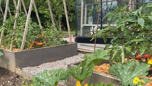 A garden with a variety of plants, a wooden trellis structure, and a glass enclosure. - B&B Maison Balady (Bellenaves)