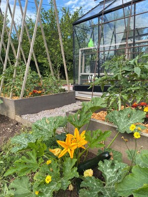 Property grounds - B&B Maison Balady (Bellenaves)