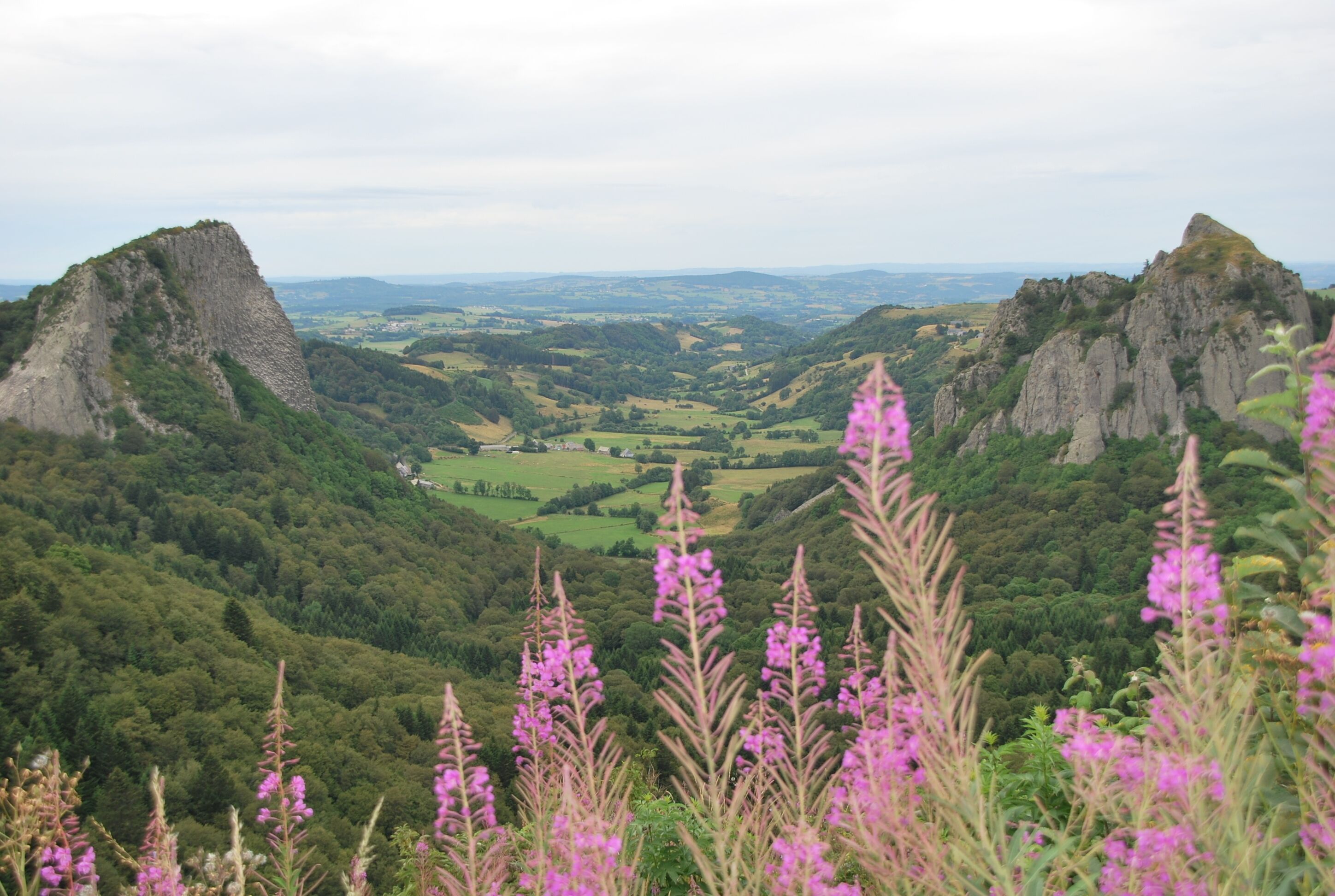 Ein Tal mit felsigen Klippen und üppiger Vegetation.
