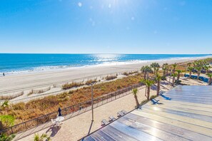 A beach view with a paved walkway, palm trees, and a clear sky.