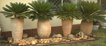 Tadiwa's Cottage, home away from home