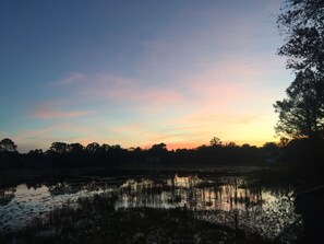 Unclassified image, 5 of 20, button