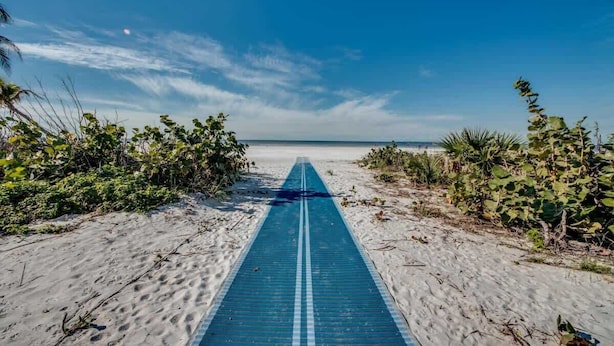 Un sendero en la playa con una línea azul, rodeado de vegetación.