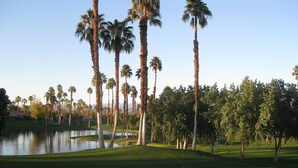 A golf course with palm trees, a pond, and a clear sky. - Stunning elevated mountain and lake views at Palm Valley Country Club! (Palm Desert)