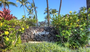 Escape to a serene tropical retreat amidst lush greenery and palm trees, where a welcoming stone wall invites you to explore its natural beauty.