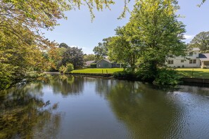 Property grounds - Charleston-area 3BR, Close to Beach or Downtown, Walk to Shem Creek (Mt Pleasant)