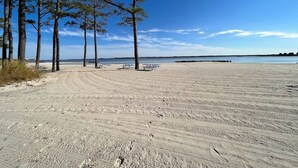 Una spiaggia sabbiosa con tavoli da picnic e una fila di alberi.