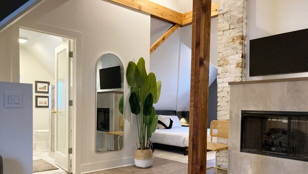 A modern living room with a fireplace, a large plant, and a cozy seating area. - Walk to Journeyman Renovated Spacious Victorian House, Beautiful Vintage Details (Three Oaks)