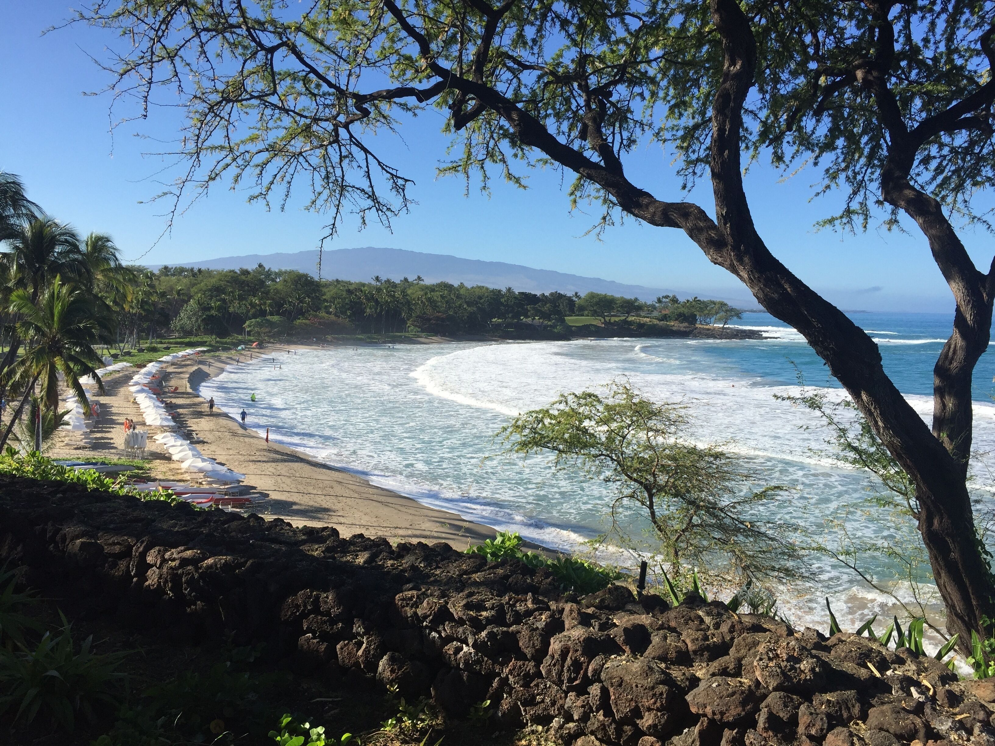Sun loungers, beach towels