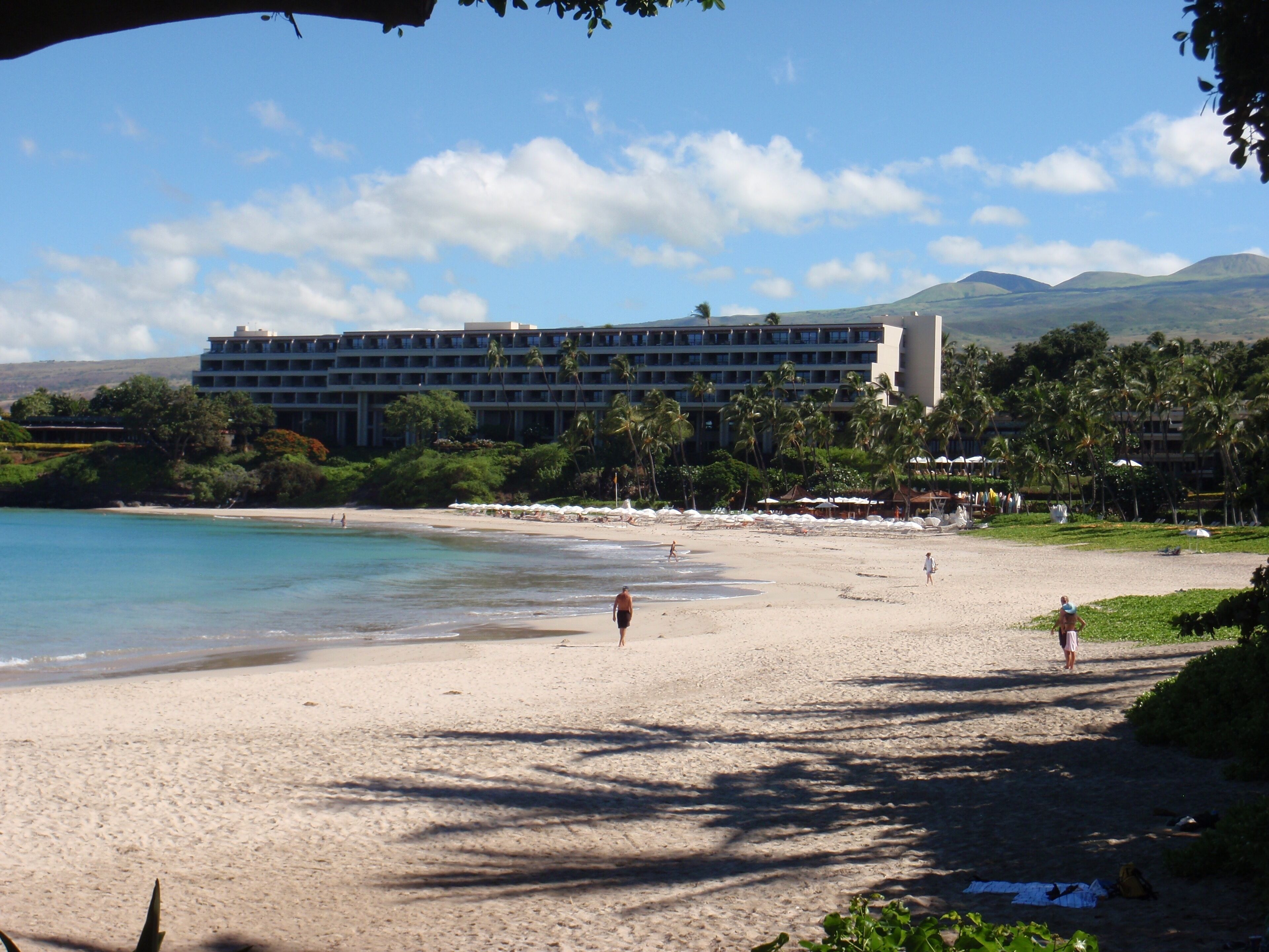 Sun loungers, beach towels