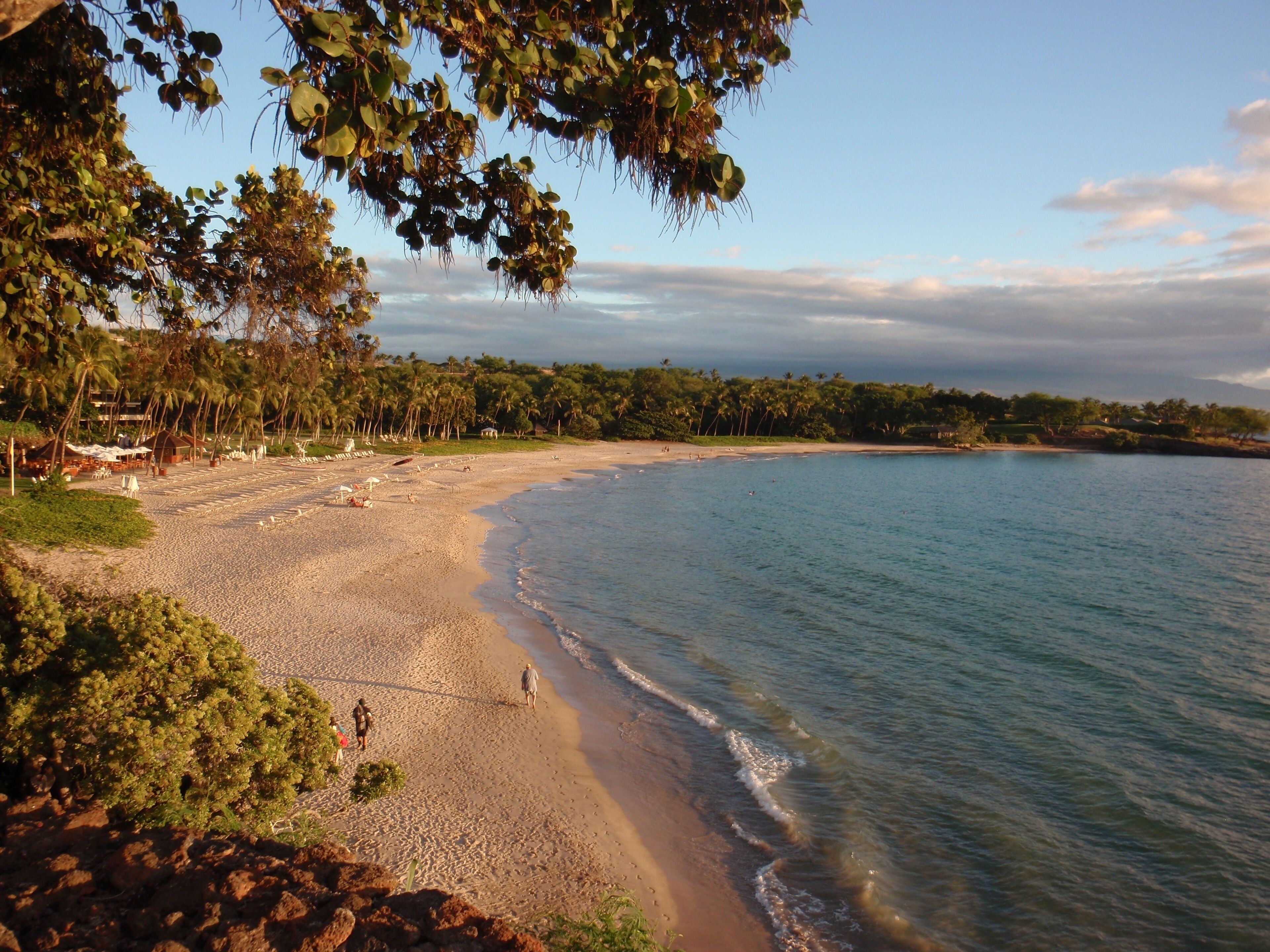 Sun loungers, beach towels