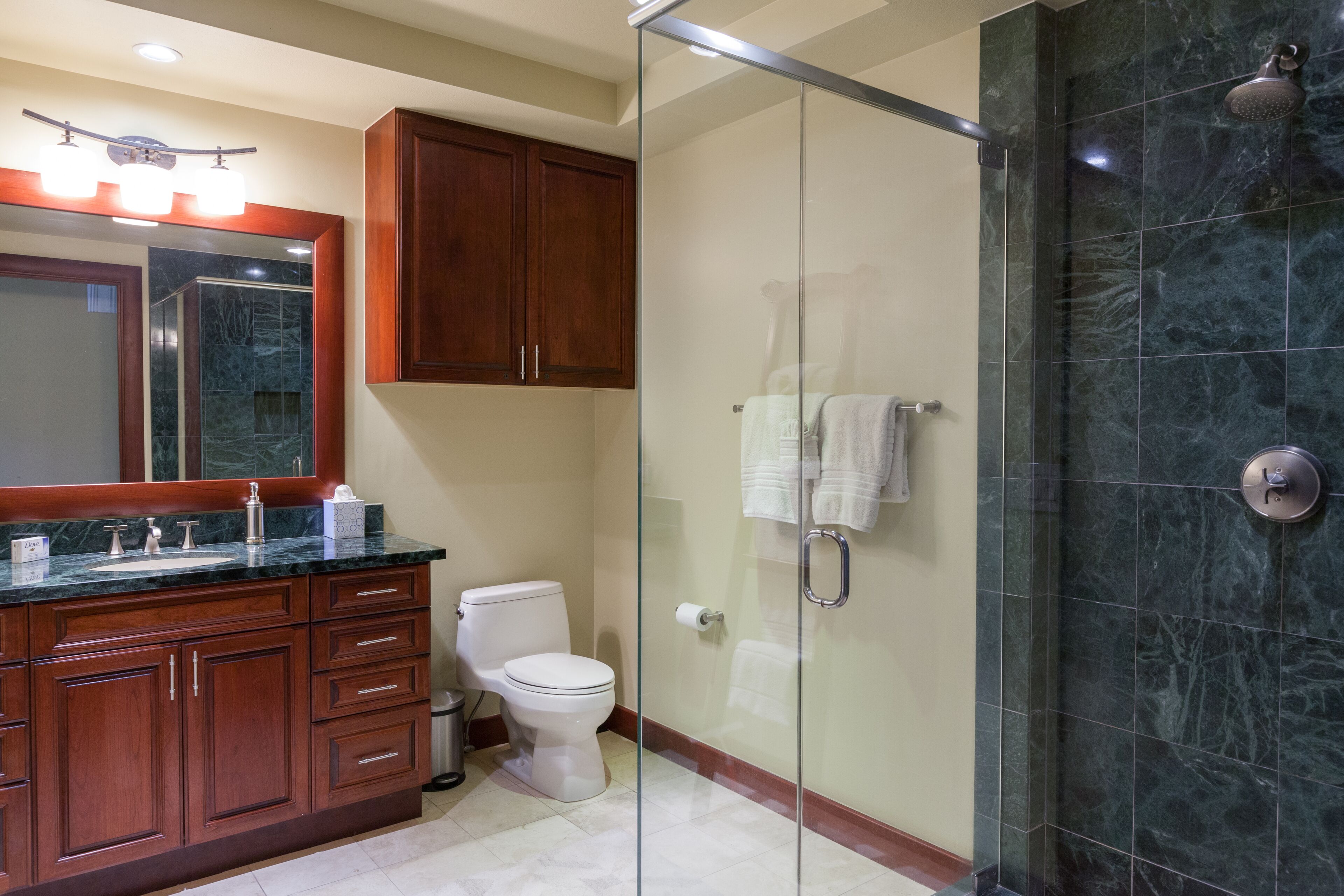 Bathtub, hair dryer, towels, soap